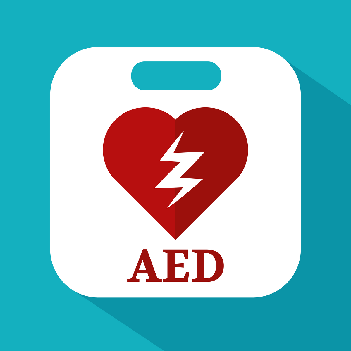 Defib Flag Defib For Life! Save lives with a defibrillator.